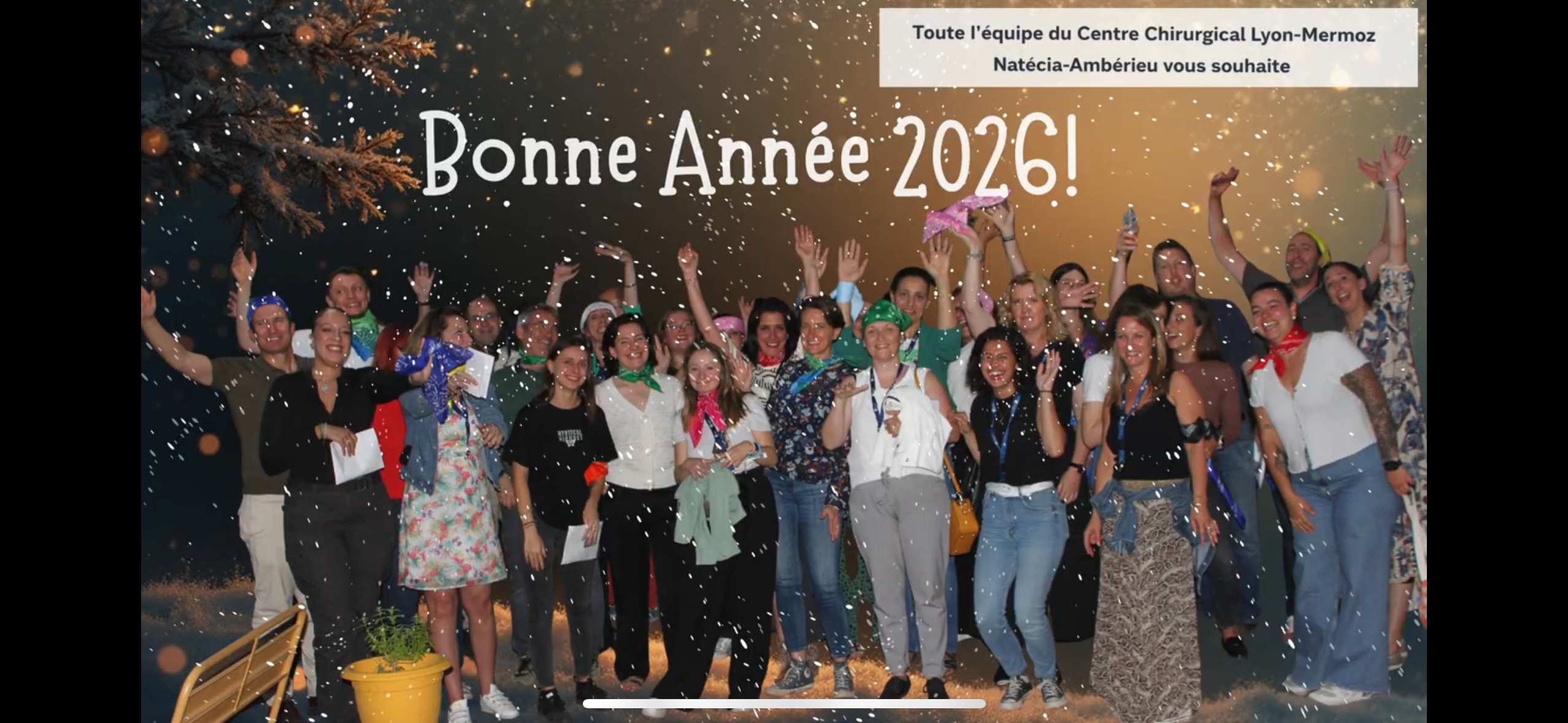 Bonne année 2026